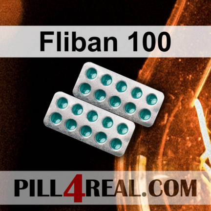 Fliban 100 105