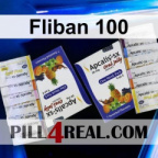 Fliban 100 205