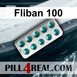 Fliban 100 369