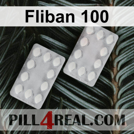 Fliban 100 473