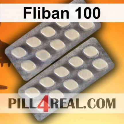 Fliban 100 507