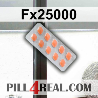 Fx25000 010