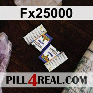 Fx25000 028
