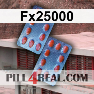 Fx25000 038