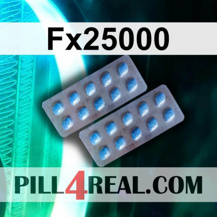 Fx25000 074