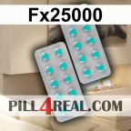 Fx25000 087