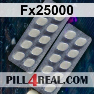 Fx25000 089