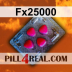 Fx25000 098