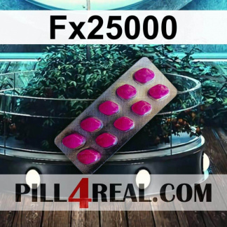 Fx25000 309