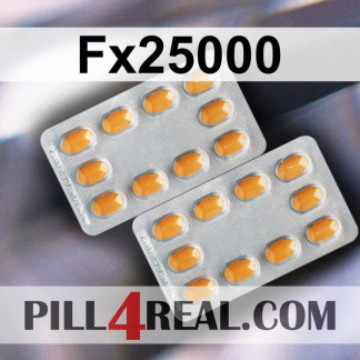 Fx25000 316