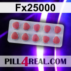 Fx25000 387