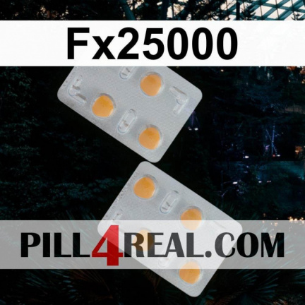 Fx25000 869