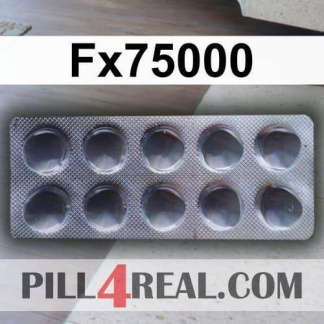 Fx75000 021