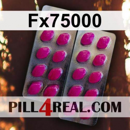 Fx75000 022