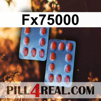 Fx75000 049