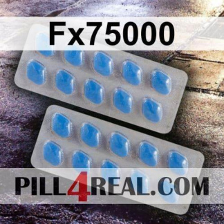 Fx75000 091