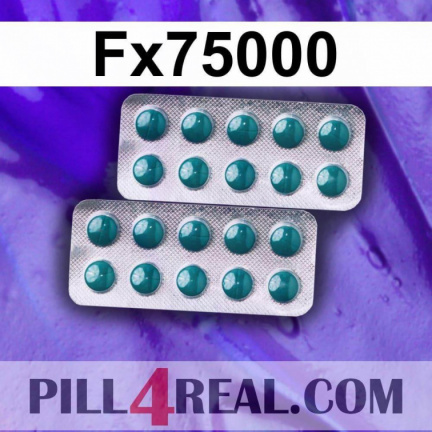 Fx75000 178