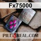 Fx75000 179
