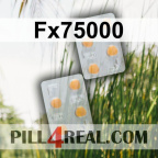 Fx75000 213