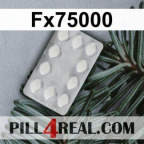 Fx75000 291
