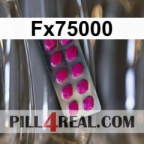 Fx75000 296
