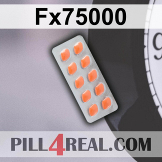 Fx75000 407