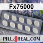 Fx75000 643