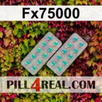 Fx75000 675