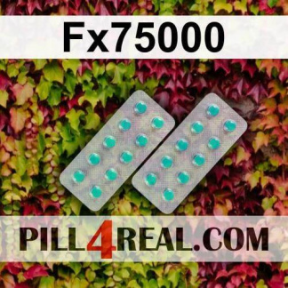 Fx75000 675