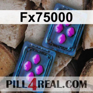Fx75000 685