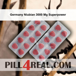 Germany Niubian 3000 Mg Superpower 253