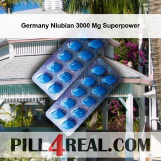 Germany Niubian 3000 Mg Superpower 388