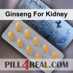 Ginseng For Kidney 017
