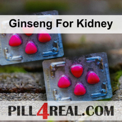 Ginseng For Kidney 021