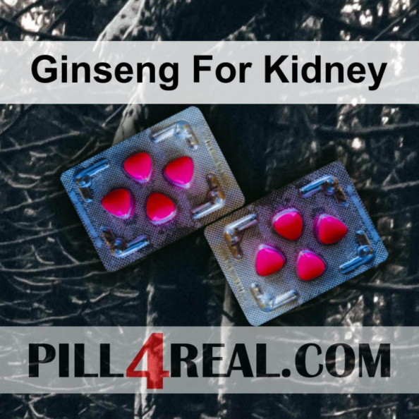 Ginseng For Kidney 085
