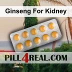 Ginseng For Kidney 216