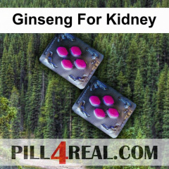 Ginseng For Kidney 218