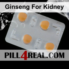 Ginseng For Kidney 233