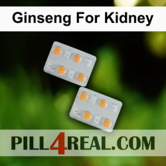 Ginseng For Kidney 355