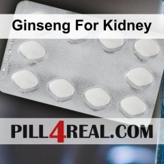 Ginseng For Kidney 377