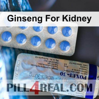 Ginseng For Kidney 438