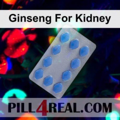 Ginseng For Kidney 462