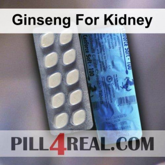 Ginseng For Kidney 471