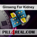 Ginseng For Kidney 540