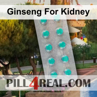 Ginseng For Kidney 656