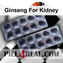 Ginseng For Kidney 713