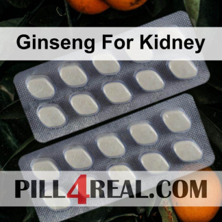 Ginseng For Kidney 904