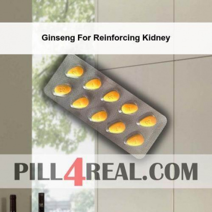Ginseng For Reinforcing Kidney 107