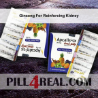 Ginseng For Reinforcing Kidney 501