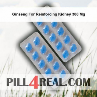 Ginseng For Reinforcing Kidney 300 Mg 046